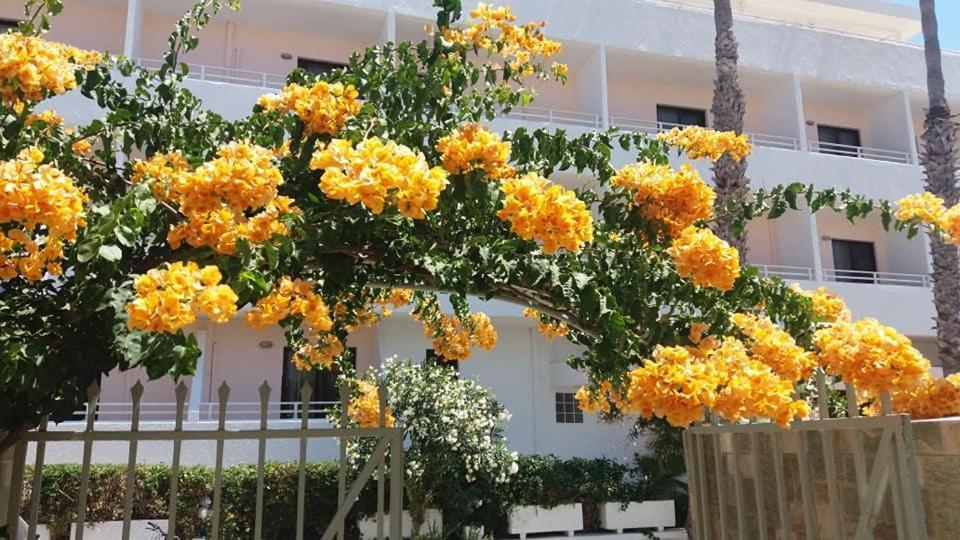 Kardamena Holiday Apartments Exterior foto